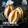 海鲜世家福州冷冻大鲍鱼净重360g袋10粒火锅烧烤食材生鲜贝类海鲜 商品缩略图0