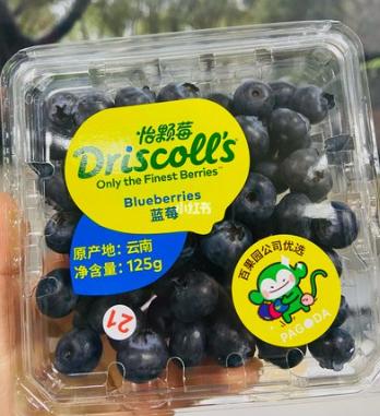 蓝莓（125g/盒） 商品图0