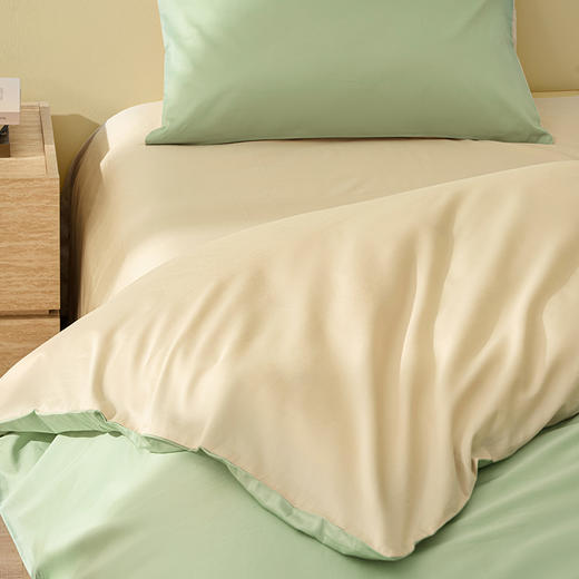 恐龙 翠峦 全棉60S四件套 新品上市 商品图4