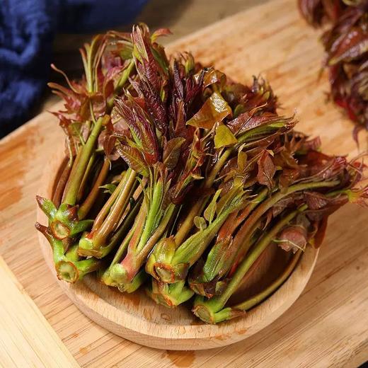 【BF春菜尝鲜】香椿芽新鲜 香春芽菜2026当季头茬农家蔬菜香椿芽500g 商品图0