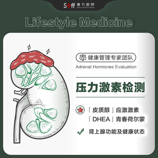 肾上腺皮质压力激素检测 | 压力管理与医学干预 商品图0