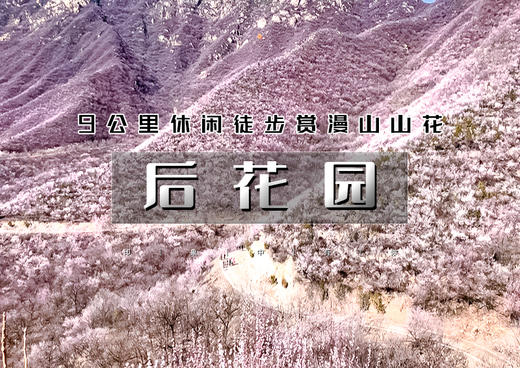 1日｜后花园｜漫山芬香北京后花园の燕平八景-神岭千峰-虎峪辉金9公里徒步赏山花 商品图0