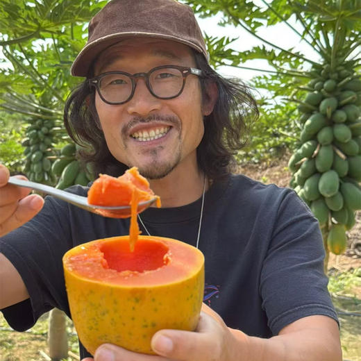 极客生态木瓜丨晚下树15天，滋味更足，浓甜丝滑，果肉饱满。天气原因泡沫箱发货，需要礼盒联系客服备注⭐️京东快递 商品图2