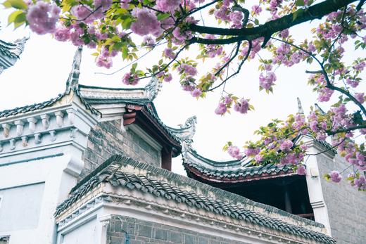 4.08贵州·百里杜鹃，乌蒙大草原，青岩古镇，花江峡谷大桥4天摄影团 商品图11