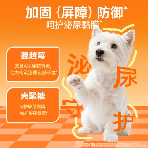澳丽得泌尿养护片呵护泌尿健康舒缓爱宠情绪关爱嘘嘘问题犬猫通用 商品图2