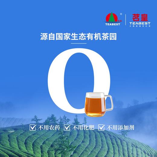 茗皇熬夜茶（湛江特色产品） 商品图1