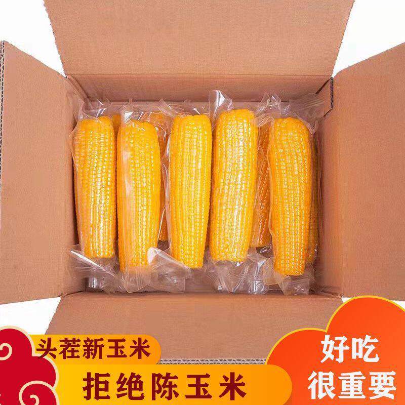 【软糯鲜甜❗低脂顶饱】东北黄糯玉米真空包装甜糯玉米棒免煮玉米即食粘玉米大棒特惠玉米。xa