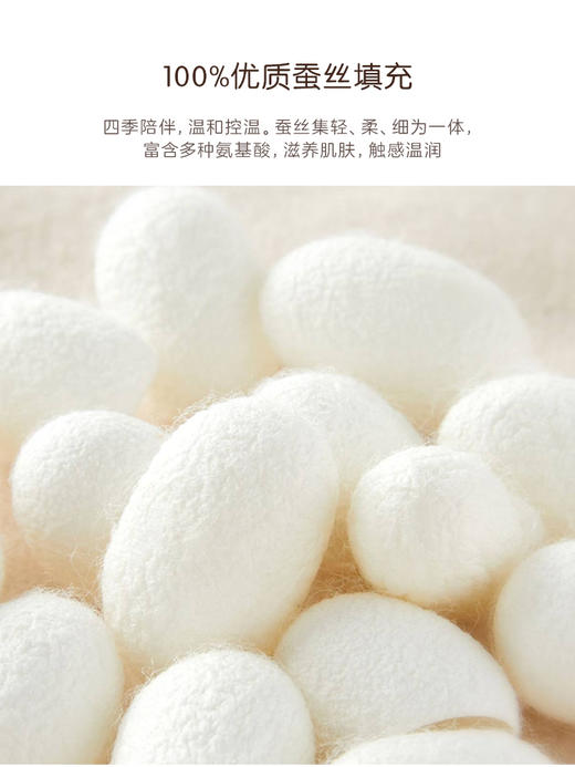 罗莱儿童 萌趣 XS A类抗菌蚕丝被-二合一 野营派对 商品图3