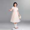 【实体店同款】女童礼裙夏季新款安奈儿童装AG623174 商品缩略图3
