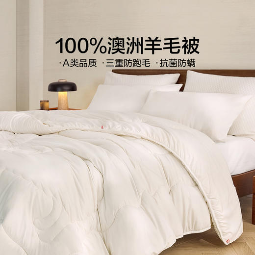 LOVO乐蜗 倍·暖 抗菌防螨澳毛加厚冬被-亲暖 商品图4