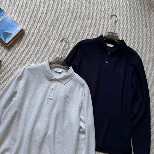 F031610春季新款休闲商务百搭通勤纯棉翻领长袖POLO上衣 商品图3