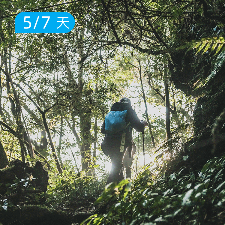 高黎贡山 原始森林徒步 |  重走中国远征军之路  45km&100km两版本可选