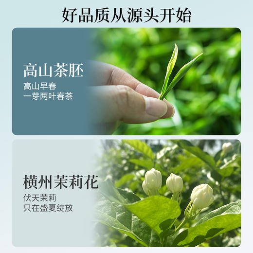 与辉同行同款【谢大高】九窨飘雪 九窨一提 只用芽头 浓郁的花香和清雅的花果香、嫩香的复合香气 商品图6