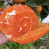 中华红橙，一不小心就会掐出一手的汁水【G】 商品缩略图6