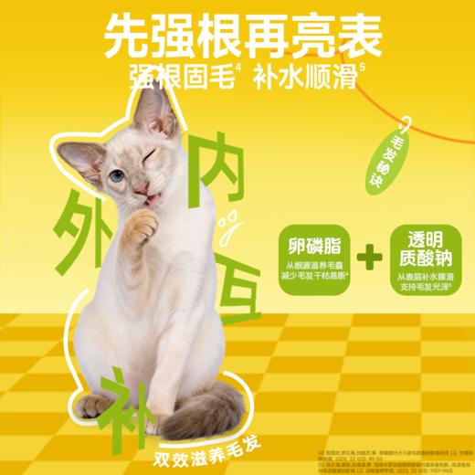 澳丽得海洋鱼油片鱼油卵磷脂美毛护肤补充维生素全年龄犬猫通用 商品图3