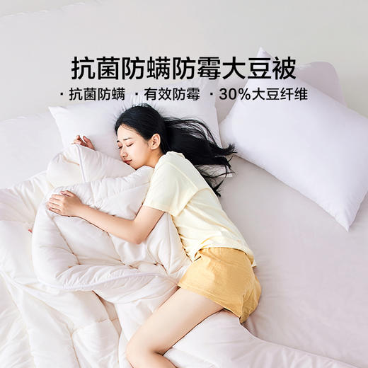 LOVO 呵肤抗菌防螨大豆纤柔春秋被 商品图3