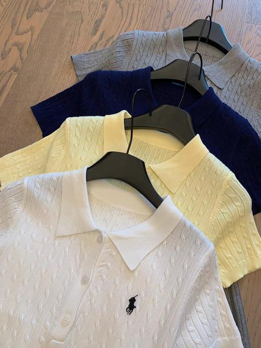 F031687优雅气质大方质感POLO领刺绣搭片针织短袖麻花连衣裙 商品图2