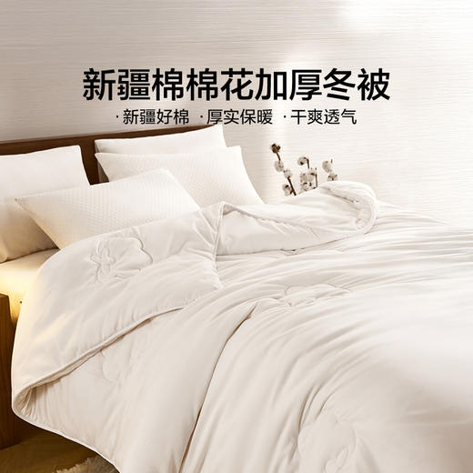 LOVO乐蜗 新疆棉棉花加厚冬被 升级版 商品图4