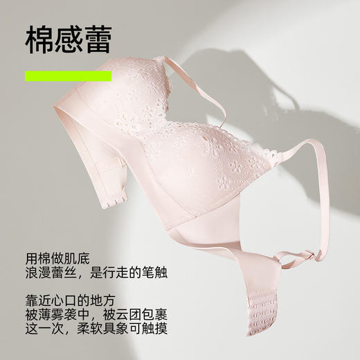 【新品上新】有棵树小胸聚拢无钢圈防下垂蕾丝文胸-B6176 商品图1