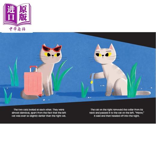 【中商原版】那不是斯特拉 Thats Not Stella 英文原版 儿童绘本 图画故事书 进口亲子童书 精装 关于身份和自我认知的故事 商品图3