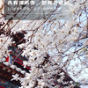 清明1天【潭柘寺】玉兰花开の千年古刹-皇家寺院-戒台寺登山步道｜休闲1日 商品缩略图1
