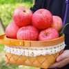 洛川苹果【39元5斤】丨肉质脆嫩，咬一口脆甜多汁~ 商品缩略图1
