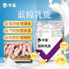 【社群专享】华畜 蓝鲸乳能 含进口酵母培养物 吃的多奶水好吸收好 商品缩略图0