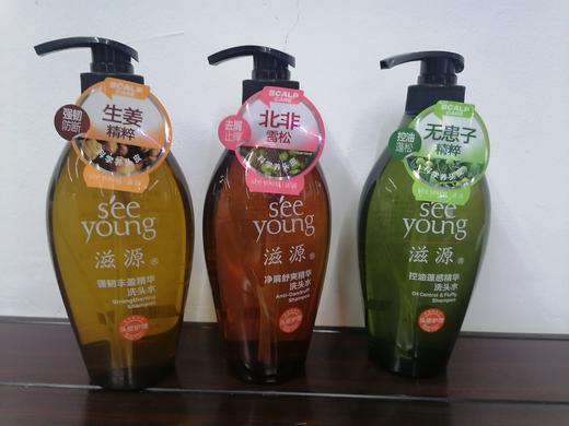 滋湹洗发水 商品图0