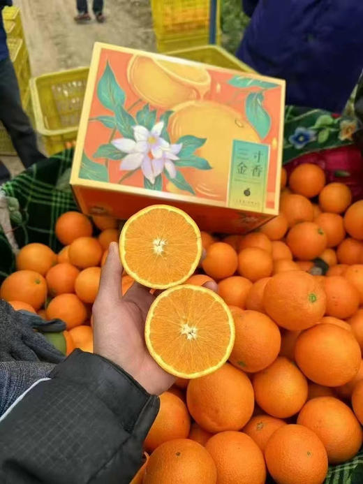 【三寸金香·伦晚春橙🍊】一江春水，两岸蜜橙，三寸金香，四季晚成[强]，来自长江两岸的橙子，好山好水好橙子！【三寸金香·伦晚春橙🍊】 商品图0