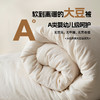 蓬松抑菌！A类全棉原棉大豆纤维被 春秋被芯加厚保暖冬被四季通用 商品缩略图1