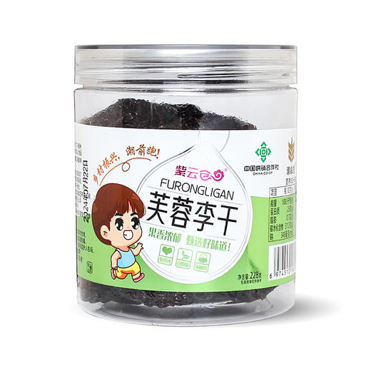 【潮汕帮扶】紫云仓丨芙蓉李干 228g 商品图0