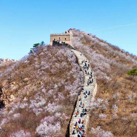 周三/清明1天【龙泉峪桃花68元】万顷长城花海の大云峡谷-龙泉峪8公里徒步穿越<初级> 商品图2