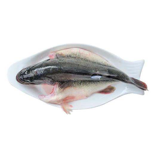 通威加州鲈鱼400g 商品图0
