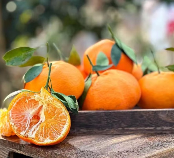 贝壳-橘中新贵 明日见 ，春见耙耙柑 无渣无籽，果香浓郁