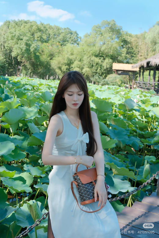 戈雅迷你双肩包 商品图9