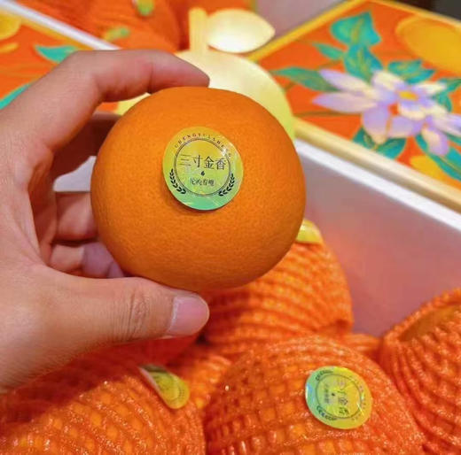 【三寸金香·伦晚春橙🍊】一江春水，两岸蜜橙，三寸金香，四季晚成[强]，来自长江两岸的橙子，好山好水好橙子！【三寸金香·伦晚春橙🍊】 商品图3