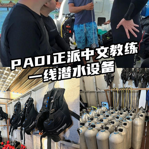 深海麒麟 潜水考证 商品图1