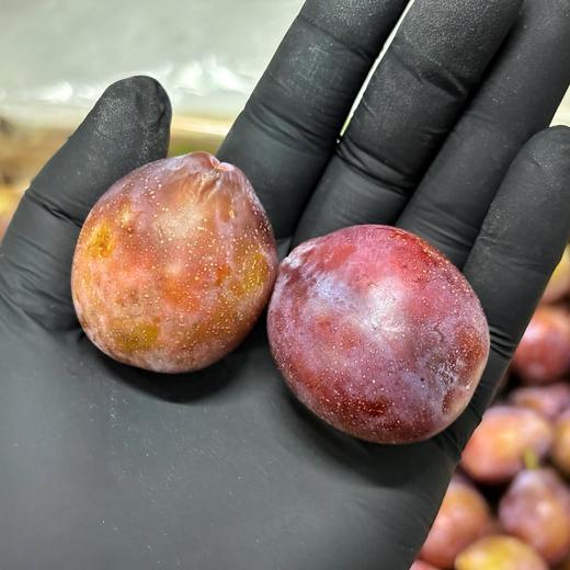 【智利西梅】新鲜空运货，果肉厚实，肉质甜嫩水润爽口，低热量且饱腹感强，瘦身达人必备。2斤尝鲜装，江浙沪皖顺丰包邮~ 商品图1