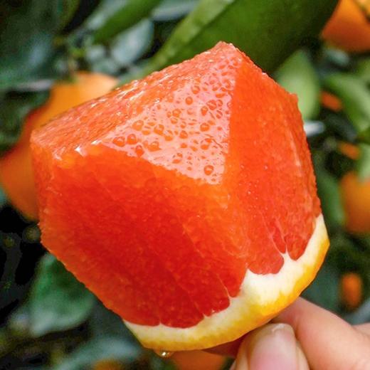 中华红橙，一不小心就会掐出一手的汁水【G】 商品图7