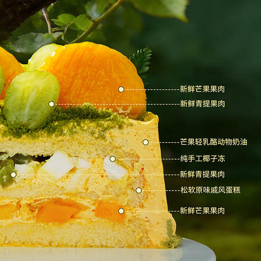 【白羊座】芒果青提椰椰| 旋木烘焙 商品图4