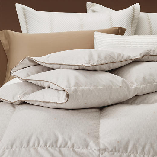 罗莱 TG 超柔A类雪域鹅绒冬被 鎏金 商品图5