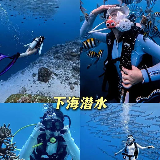 深海麒麟 潜水考证 商品图4