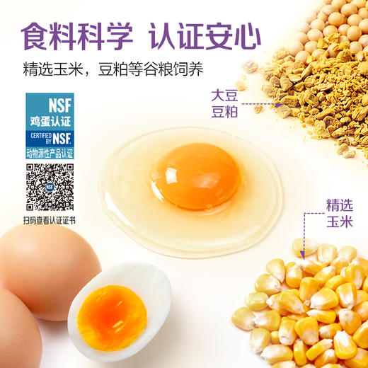 香满园富硒营养鸡蛋30枚1.59KG 商品图4