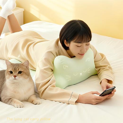 罗莱悦礼 趴趴猫玩睡枕 商品图0