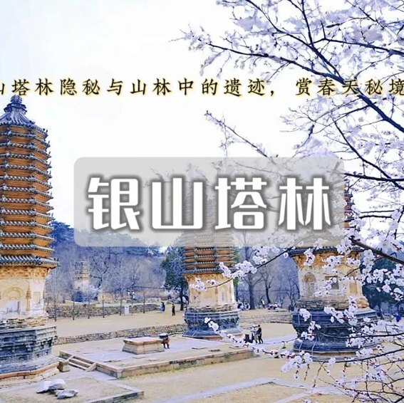 清明1天【银山塔林】塔林环穿の徒步漫山遍野的粉色花海如梦如幻（初级）