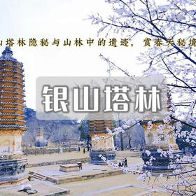 清明1天【银山塔林】塔林环穿の徒步漫山遍野的粉色花海如梦如幻（初级）