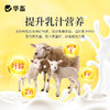 【社群专享】华畜 蓝鲸乳能 含进口酵母培养物 吃的多奶水好吸收好 商品缩略图3