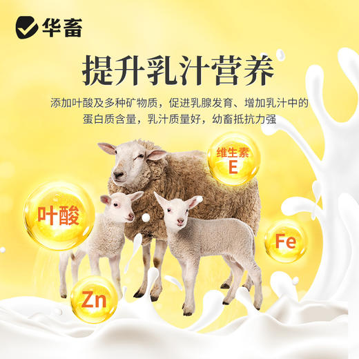 【社群专享】华畜 蓝鲸乳能 含进口酵母培养物 吃的多奶水好吸收好 商品图3