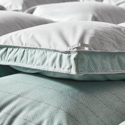 罗莱 XS-智?享溯源A类95鹅绒冬被-星河 商品图2