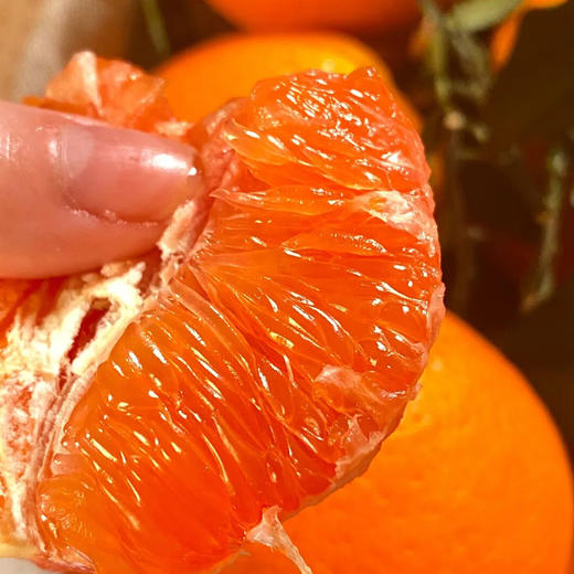 中华红橙，一不小心就会掐出一手的汁水【G】 商品图1